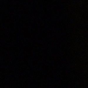 Meet your Posher, Raegan